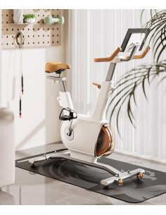 Vélo d'intérieur Sophy W1 2