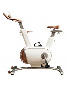 Vélo d'intérieur Sophy W1