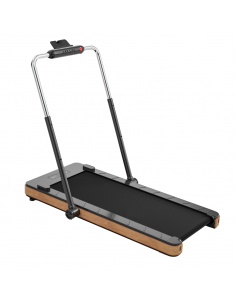 Tapis Roulant T4223 2