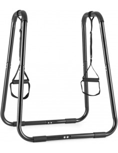 Calisthenics Parallel Bar...