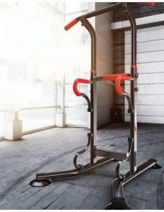 Multiestación Pull-Up... 2