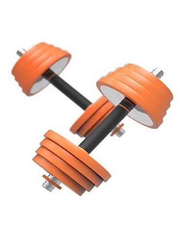BSFIT® Kit de pesas y Mancuernas Regulables (Set de 10lb 5lb 2,5lb) - Juego  de Pesas Ajustables para Musculación y Entrenamiento de Fuerza - Barra  Hierro - Gimnasio en Casa : 