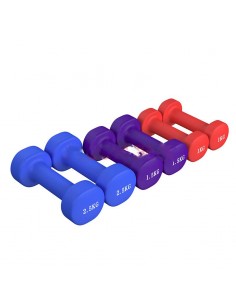 Set di mini manubri da 10 kg 2